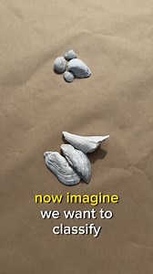 2.9K views · 22 reactions | Nominal vs. Ordinal Data - Types of Categorical Data | Thom Code | Facebook