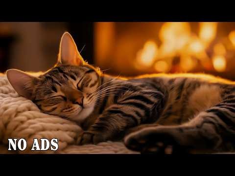 12 Hours Cat Sleep Music 🐱 Relaxing Music For Cats 💤 Calming Sounds for Stress Relief & Deep Rest 🎵