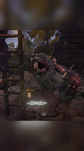 Revenge Taken: Rats, Priests, and the Frenzy Tower #frenzytower #eldenring