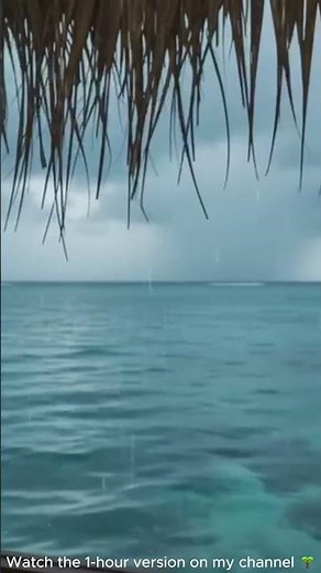 POV: Cozy Tropical Rainstorm in an Overwater Bungalow 🛖🌧️
