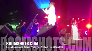 140K views · 4K reactions | The Reggae Shed -- Beres Hammond & Shaggy "Fight This Feeling" Live | DJDancerider | Facebook