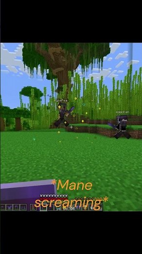 Eggchan VS ManePear (Unstable Universe Mimic)