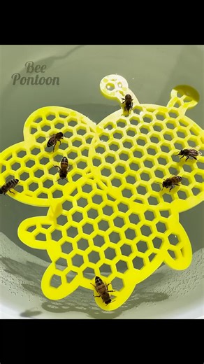The bees are LOVING the Honeybee Pontoon! Provide a safe landing space for your bees to hydrate with the Honeybee Pontoon at www.trimyxs.com! Be sure to check out @Newbeeswv as well - thank you for the footage! Absolutely fantastic content creator for the beekeeping community. 😄 #Bees #Beekeeping #Gardens #Pollinators