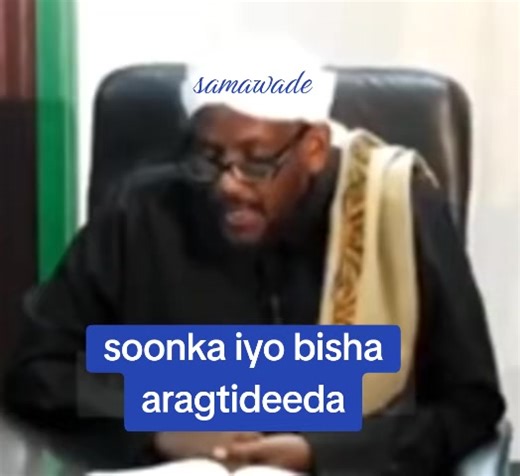 samawade (@gaanitahir)’s videos with original sound - samawade