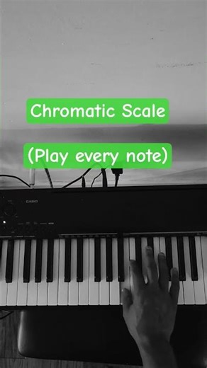 chromatic scale #youlearnmusic #easypiano #learnpianomusic #pianopractice #fingerexercise