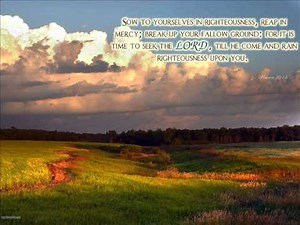 Break Up Your Fallow Ground music and lyrics by Jason Bellard