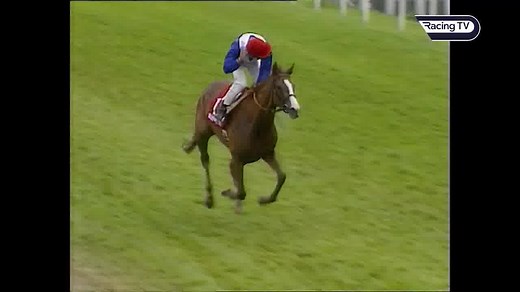 💙 Thanks for the memories, Balanchine 💙 She provided Frankie Dettori, then 23, with his first Classic winner when landing the Oaks at Epsom Downs Racecourse in 1994. The following month she beat the boys in the Irish Derby. Her death, aged 30, has been announced by Godolphin | Racing TV