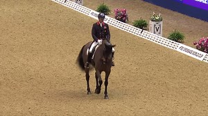 Dancing with Hawtins Delicato! 🐴 Feel the rhythm, sense the atmosphere and absorb the beauty of Carl Hester & Hawtins Delicato gracing the ring! Taking it back to their outstanding show of dancing at the FEI Dressage World Cup™ 2019 at Olympia, The London International Horse Show, we're mesmerised by their performance that scored a stellar 84.470%! 🤩 Prepare to be stunned! 👇 | Fédération Equestre Internationale
