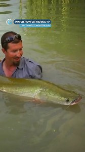 These fishing lakes in Thailand look insane! - ‘Trev Gowdy’s Monster Fish’ on Fishing TV Click the link to watch now! https://www.fishingtv.com/series/trev-gowdys-monster-fish-season-6/ Join Trev Gowdy and Fred Levitman on an exhilarating expedition spanning continents and oceans in search of the world's most elusive monster fish. From the rugged Columbia River to the exotic waters of Thailand, witness their epic quests for giants like the white sturgeon, Mekong catfish, Bluefin Tuna and Arapaim