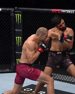 174K views · 245 reactions | Your weekly drop of finishes has arrived  Check out some of the best from the #UFCVegas28 card! | UFC | Facebook