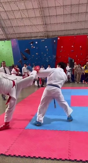 Leg Work Distractions in Karate Training