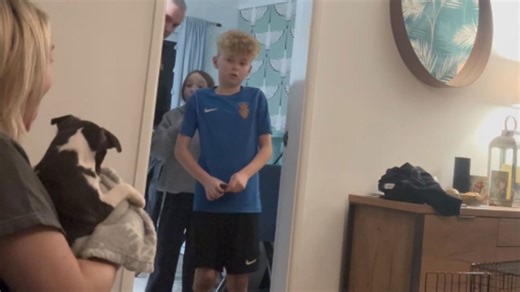 Long time without a dog ends as kids get a Boston Terrier puppy