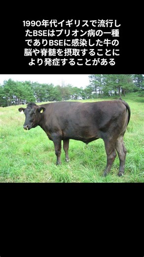 プリオン病に関する雑学