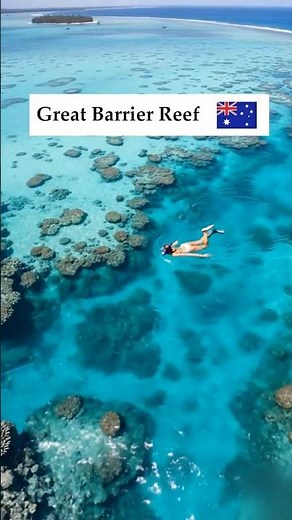 World’s Largest Reef 😍🌊 | Great Barrier Reef