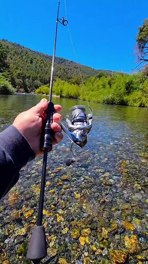 Pesca en el sur de Chile: Un recorrido por ríos hermosos