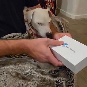 18 shares |  ATTENTION! Hearing aid FIRE SALE  Get America's best...