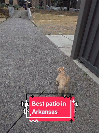 Explore Southern Tail Brewing: The Ultimate Hangout Spot