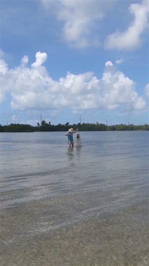 Catching Pinfish with a Cast Net | Florida Keys