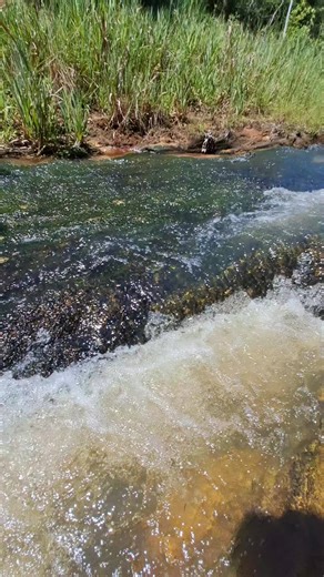 Disfruta Cada Momento: Reflexiones de Vida en Paraguay