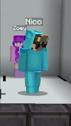 Minecraft COLOR MATCH! 4