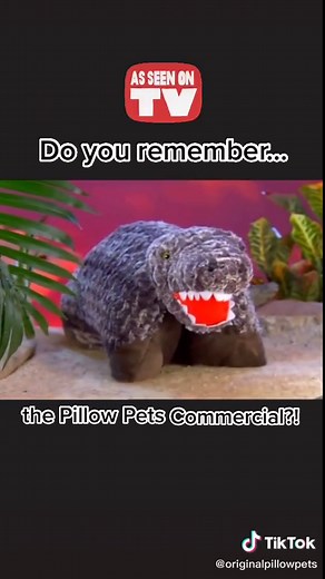 Remember the Pillow Pets Commercial?!