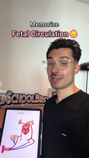 Mastering Fetal Circulation in Under 60 Seconds