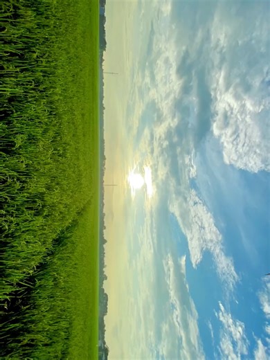 Microsoft edge x capcut pro By iPhone 11 basic. 4k 60fps #iphone11 #aufanz #fyppppppppppppppppppppppp #microsoftedge #HD