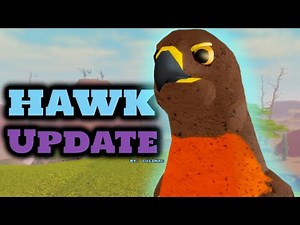 RED TAILED HAWK!!!! |Feather Family|