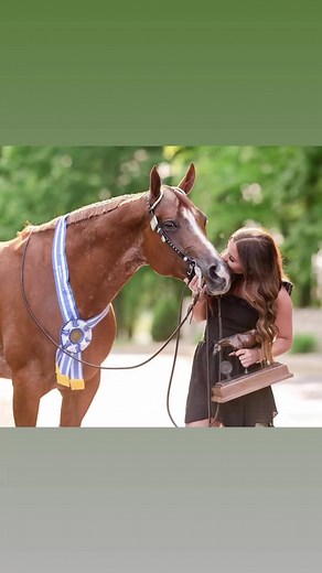 Marilynn Monroe Sells to Sheri Kern-Gepp and Heads to Texas with Katie Mitchell Marilynn Monroe, by Machine Made and out of KM WeKnowShesHot has a legacy to fulfill - read the details here: http://www.equinechronicle.com/marilynn-monroe-sells-to-sheri-kern-gepp-and-heads-to-texas-with-katie-mitchell/ #TheEquineChronicle Pro photos: Kirstie Marie Photography, Shane Rux Photography | The Equine Chronicle