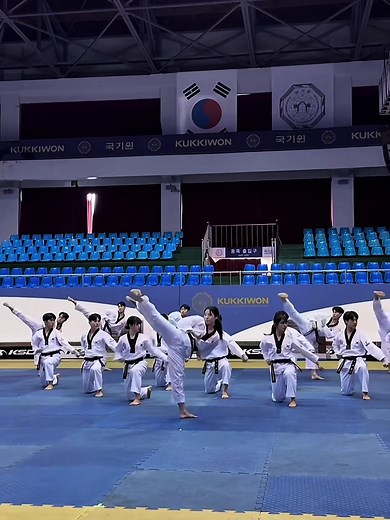 Taekwondo Techniques by Kukkiwon Demonstration Team