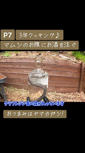 マムシ酒の作り方とヤマカガシのおつまみ