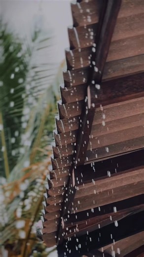 Captivating Nature Cinematic Video Editing Tutorial