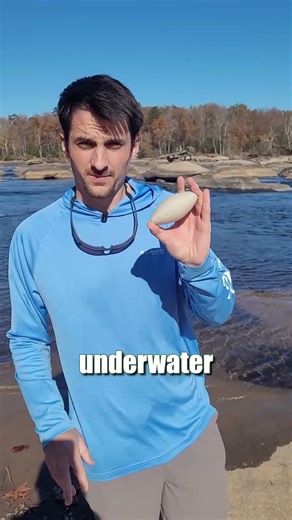 Your Lightweight Foam Circle Bobber Sucks! Switch To The Weighted Aerodynamic FATKAT Catfish Bobber