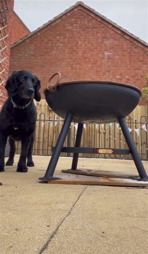 29K views · 28 reactions | Whether you're a DIY expert ot enthusiast...