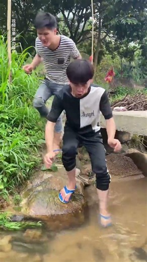 Creator Support Program, everyone is shaking off their burdens, funny videos, what a coincidence