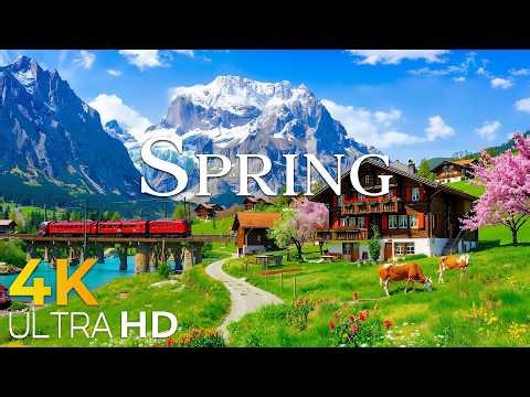 Switzerland Getting Ready for Spring 🌿 Peaceful Alpine Landscapes 4K