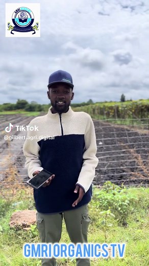 Digitizing the land #farmingwiththemupondas #fyp #factorsofproductions #smartfarming #entrepreneur #QGIS