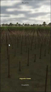 Gigantic Grape Field #farming #farmingsimulator25 #fs25 #fs25gameplay