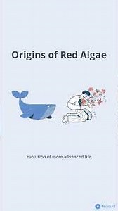 “Seaweeds: Among the Oldest Life Forms on Earth!”