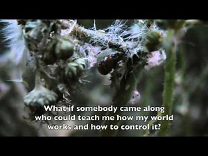 Illusions By Richard Bach Book Trailer