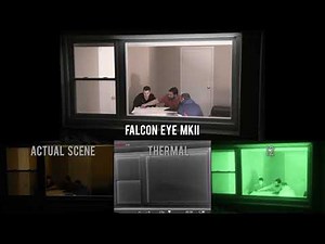 Behind Window - viewed with night vision cameras