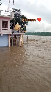 Chenab River Akhnoor, Jammu . Old Video !! @jammuttiies . . #Jammu #Akhnoor #Jandk #JammuKashmir #Chenab #River #ChenabRiver | Jammuttiies
