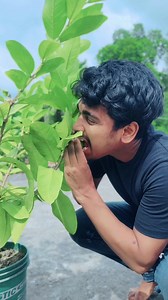 292K views · 2.7K reactions | Asmr Food  Water  Guava Sauce Chocolate  Balloon  Funny Video #food #asmr #water #chocolate #guava #balloons #funny #video | op Funny | Facebook