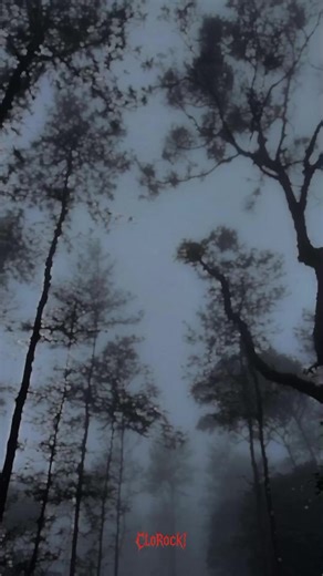 Song : I, The Devourer Artist : Disembodied Tyrant& Synestia Released : 2023(The Poetic Edda) #disembodiedtyrant #synestia #ithedevourer #deathcore #lyrics