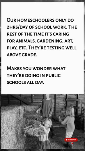We Only Homeschool 2 Hours A Day—And They Test ABOVE Grade Level! 📚🌱 | Homeschool vs Public School