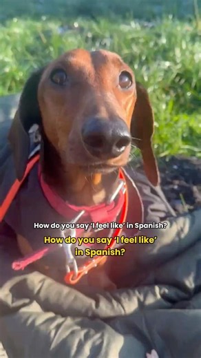 How to Say “I Feel Like…” in Spanish