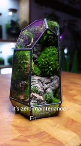 1M views · 25 reactions | Introducing the Prism  The geometric, zero-maintenance terrarium. Handmade, just for you. Shop now while stocks last | Ome.home | Facebook