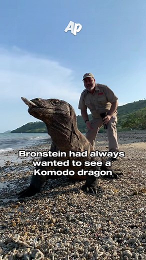The Komodo Dragon Encounter: Sharon Stone's Husband Attacked