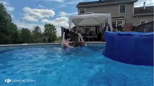 Pets Alive Alumni: Toast 🐶 Living that poolside pupper life! Toast knows how to beat the summer heat like a pro. 🌞🐾🐶 | Pets Alive