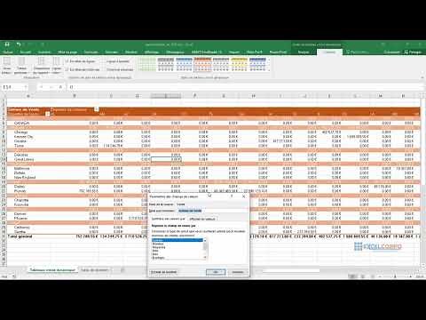 TCD 13: Comment modifier le nom d'un champs de tableaux croisé dynamique